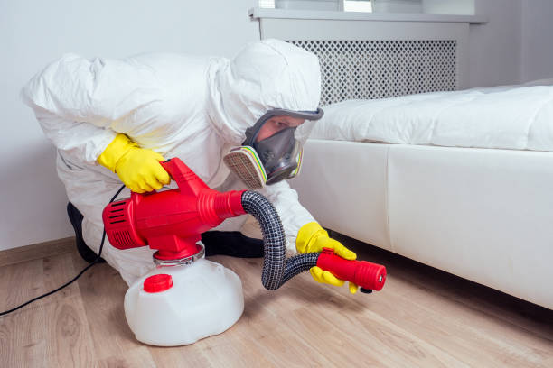 Best Pest Inspection Near Me  in San Miguel, CA