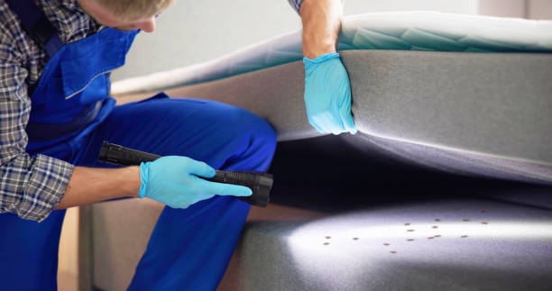 Best Residential Pest Control  in San Miguel, CA