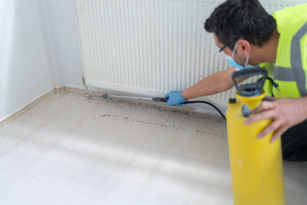 Best Mosquito Control Services  in San Miguel, CA
