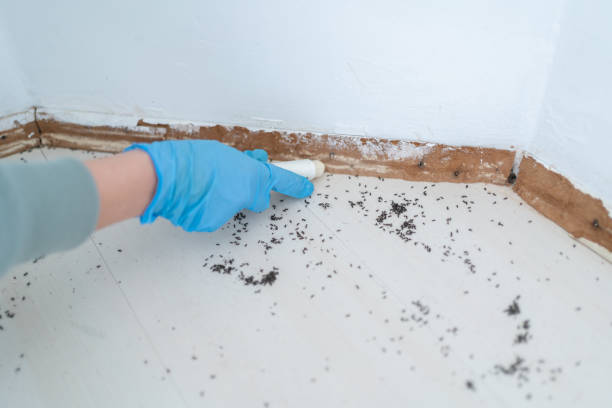 Best Best Pest Control Companies  in San Miguel, CA